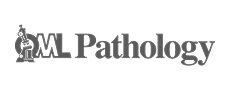 QML-Logo